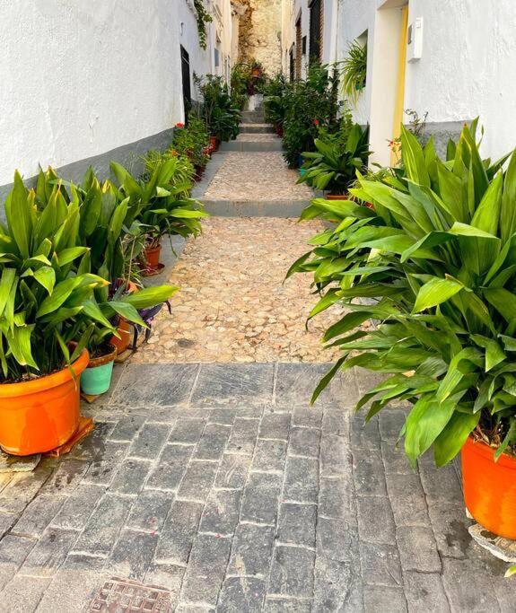 Mi Rincon Favorito Apartment Cogollos De La Vega Exterior photo
